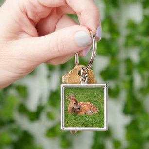 Cutest Baby Animals   Little Fawn Key Ring