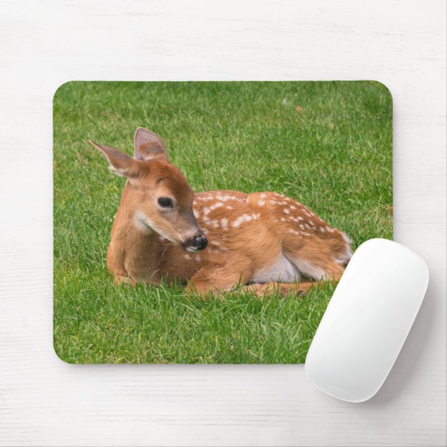 Cutest Baby Animals | Little Fawn Mouse Mat (With Mouse)
