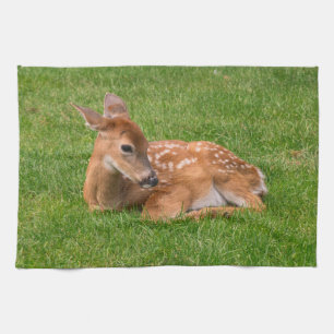 Cutest Baby Animals Little Fawn Tea Towel
