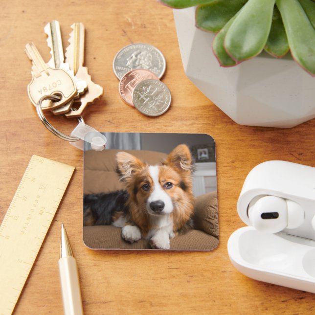 Cutest Baby Animals | Long Hair Corgi Puppy Key Ring (Desk)