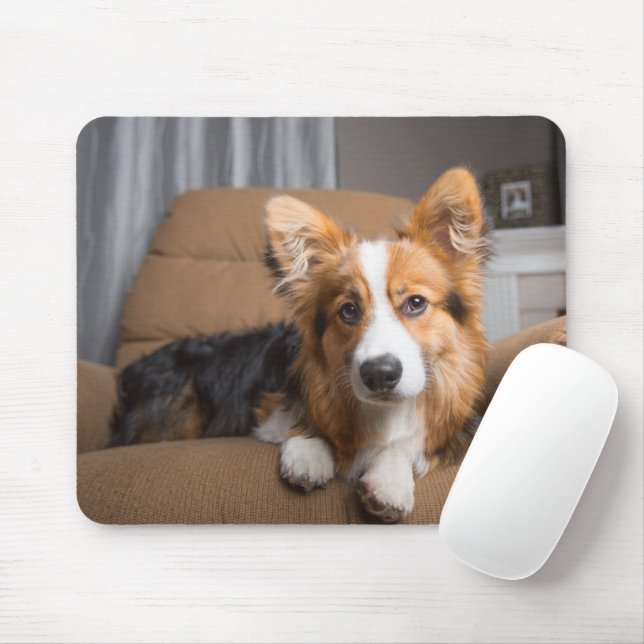 Cutest Baby Animals | Long Hair Corgi Puppy Mouse Mat (With Mouse)
