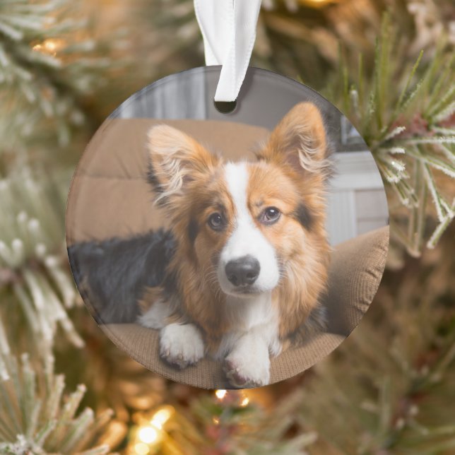 Cutest Baby Animals | Long Hair Corgi Puppy Ornament (Tree)
