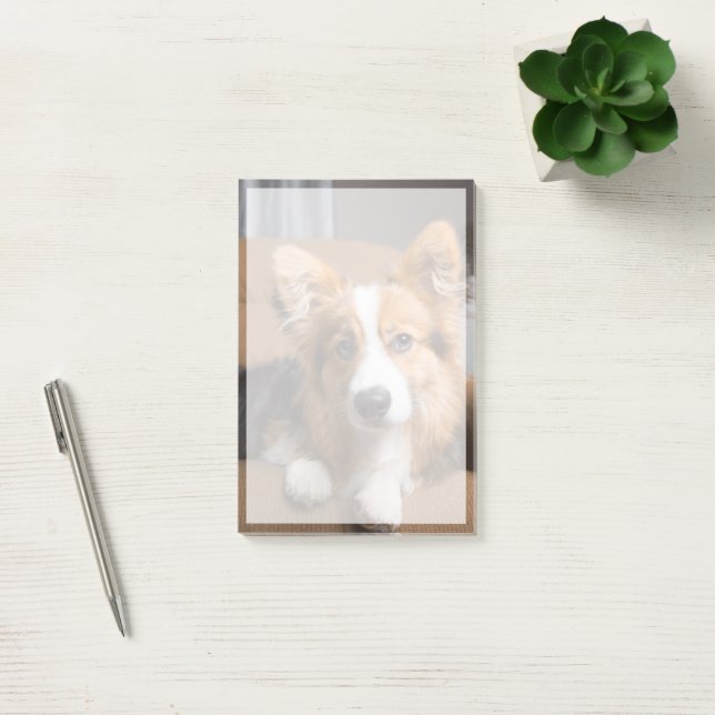 Cutest Baby Animals | Long Hair Corgi Puppy Post-it Notes (Office)