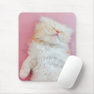 Cutest Baby Animals Lovely Kitten Sleeping Mouse Mat