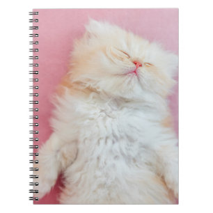 Cutest Baby Animals   Lovely Kitten Sleeping Notebook
