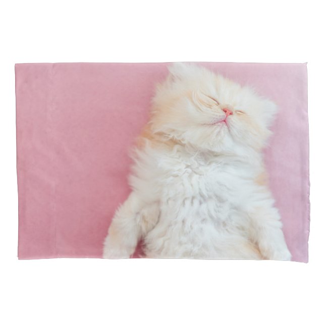 Cutest Baby Animals | Lovely Kitten Sleeping Pillowcase (Front)