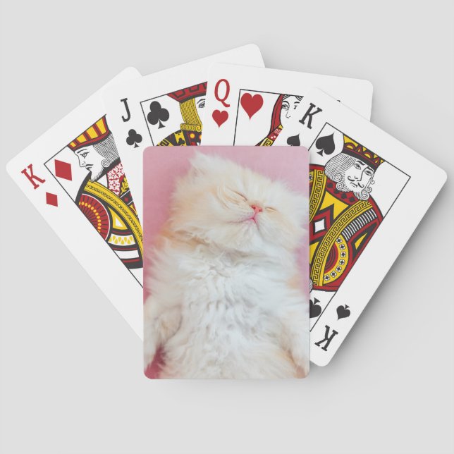 Cutest Baby Animals | Lovely Kitten Sleeping Playing Cards (Back)