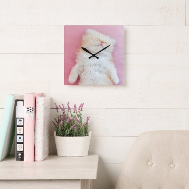 Cutest Baby Animals | Lovely Kitten Sleeping Square Wall Clock (Reading Room)