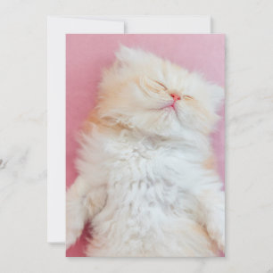Cutest Baby Animals   Lovely Kitten Sleeping Thank You Card