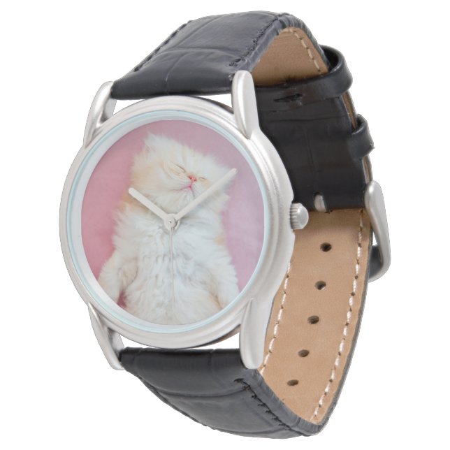 Cutest Baby Animals | Lovely Kitten Sleeping Watch (Angled)
