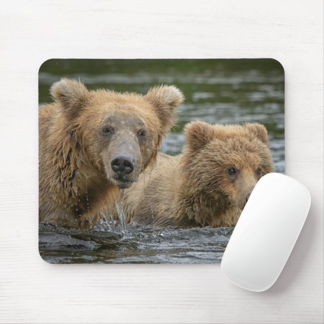 Cutest Baby Animals | Mama Bear & Her Cubs Mouse Mat (With Mouse)