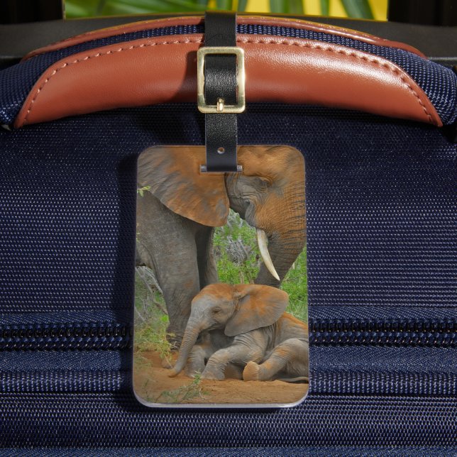 Cutest Baby Animals | Mama Elephant & Baby Luggage Tag (Front Insitu 2)