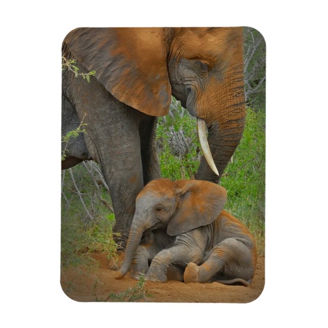 Cutest Baby Animals | Mama Elephant & Baby Magnet (Vertical)