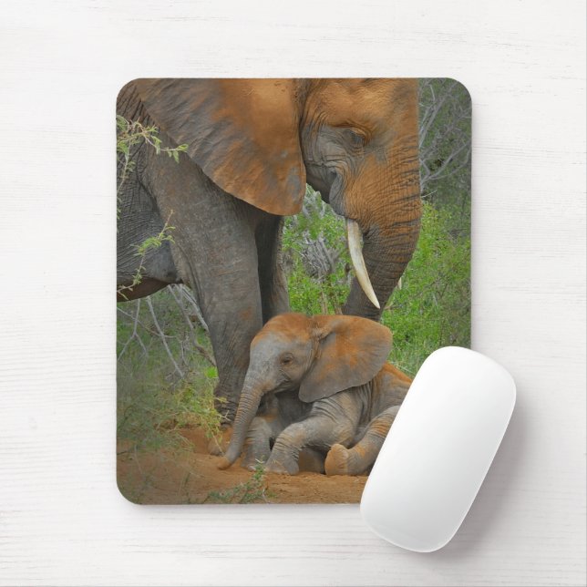 Cutest Baby Animals | Mama Elephant & Baby Mouse Mat (With Mouse)