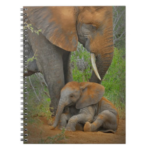 Cutest Baby Animals   Mama Elephant & Baby Notebook