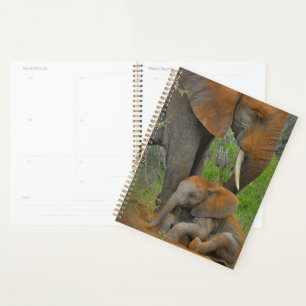 Cutest Baby Animals   Mama Elephant & Baby Planner
