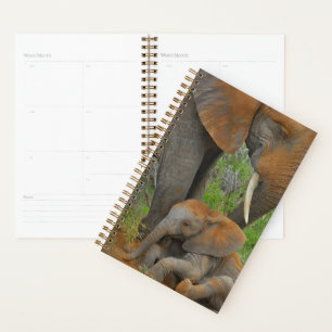 Cutest Baby Animals Mama Elephant & Baby Planner