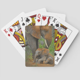 Cutest Baby Animals   Mama Elephant & Baby Playing Cards