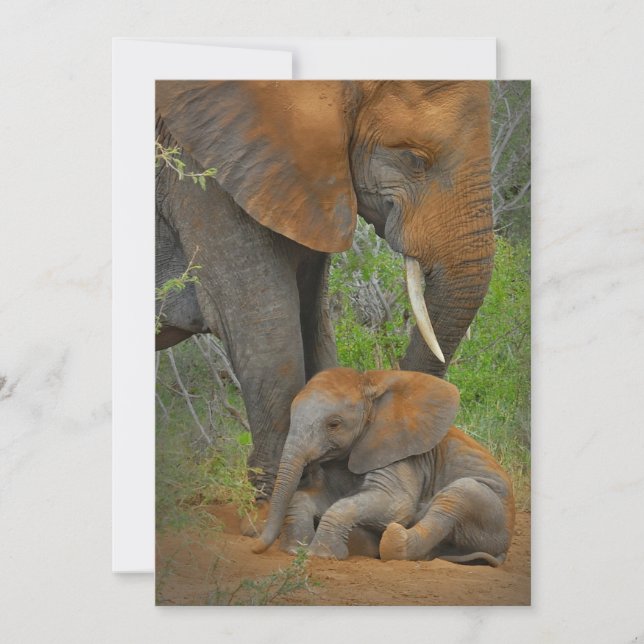 Cutest Baby Animals | Mama Elephant & Baby Thank You Card (Front)