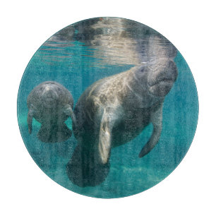 Cutest Baby Animals   Manatee & Baby Cutting Board