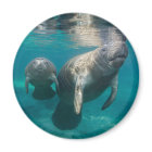 Cutest Baby Animals | Manatee & Baby