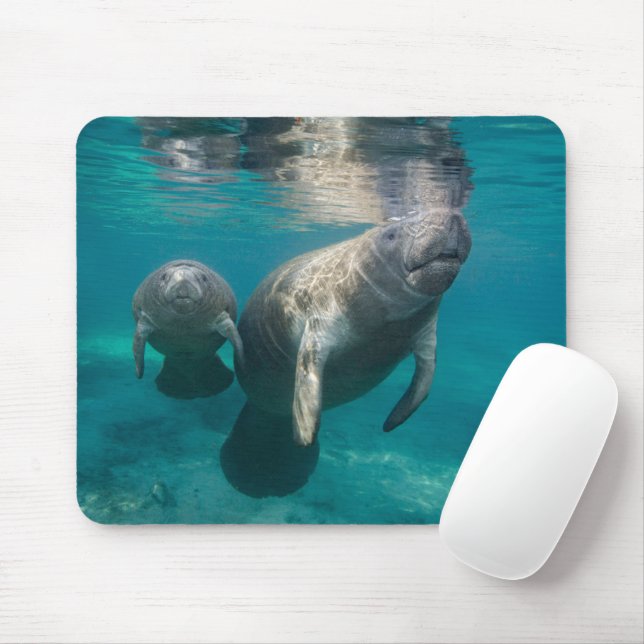 Cutest Baby Animals | Manatee & Baby Mouse Mat (With Mouse)