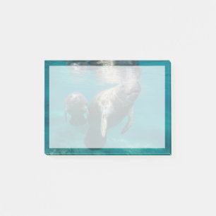 Cutest Baby Animals   Manatee & Baby Post-it Notes