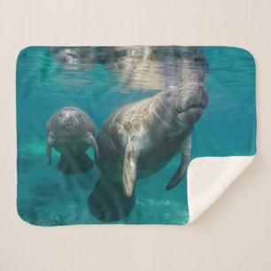Cutest Baby Animals   Manatee & Baby Sherpa Blanket