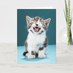 Cutest Baby Animals Meowing Baby Kitten Card