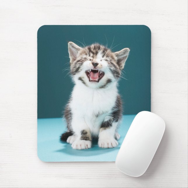 Cutest Baby Animals | Meowing Baby Kitten Mouse Mat (With Mouse)