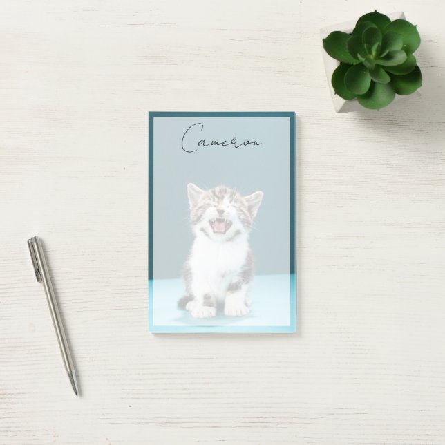 Cutest Baby Animals | Meowing Baby Kitten Post-it Notes (Office)