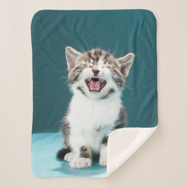 Cutest Baby Animals | Meowing Baby Kitten Sherpa Blanket (Front)