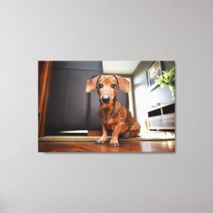 Cutest Baby Animals Mini Dachshund Puppy Canvas Print