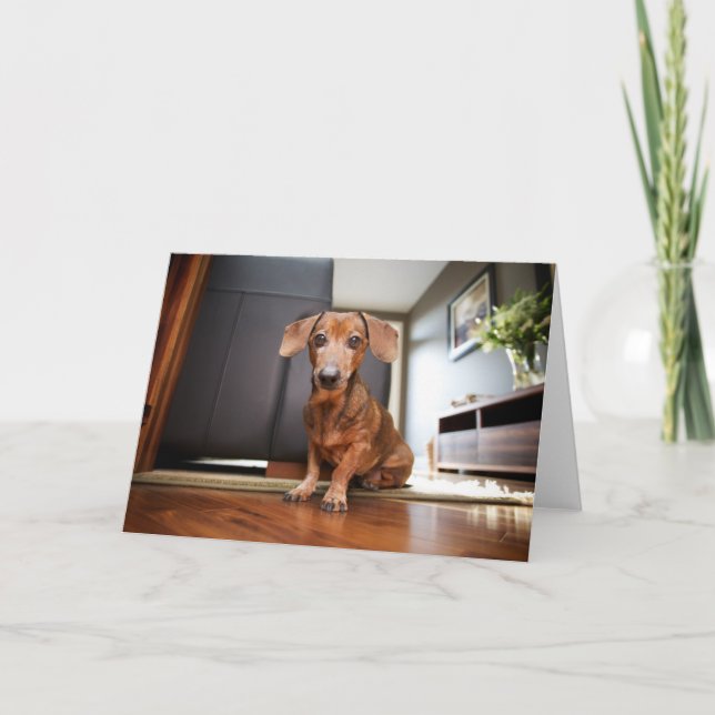 Cutest Baby Animals | Mini Dachshund Puppy Card (Front)