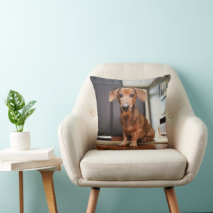 Cutest Baby Animals   Mini Dachshund Puppy Cushion