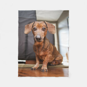 Cutest Baby Animals Mini Dachshund Puppy Fleece Blanket
