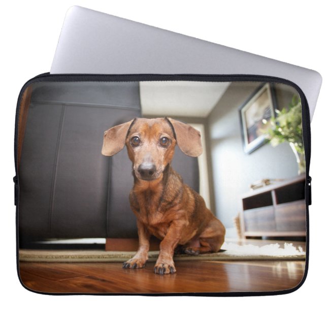 Cutest Baby Animals | Mini Dachshund Puppy Laptop Sleeve (Front)