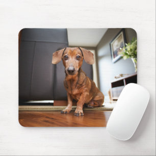 Cutest Baby Animals Mini Dachshund Puppy Mouse Mat
