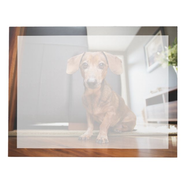 Cutest Baby Animals | Mini Dachshund Puppy Notepad (Front)