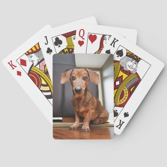 Cutest Baby Animals | Mini Dachshund Puppy Playing Cards (Back)