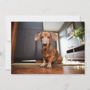 Cutest Baby Animals Mini Dachshund Puppy Thank You Card