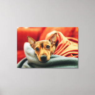 Cutest Baby Animals Miniature Pinscher Canvas Print
