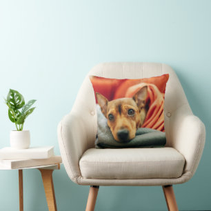 Cutest Baby Animals   Miniature Pinscher Cushion