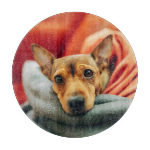 Cutest Baby Animals Miniature Pinscher Cutting Board