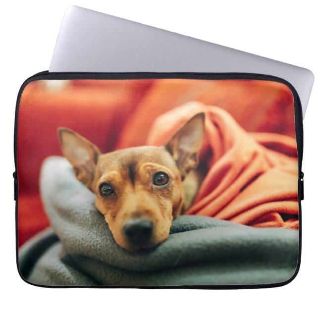 Cutest Baby Animals | Miniature Pinscher Laptop Sleeve (Front)