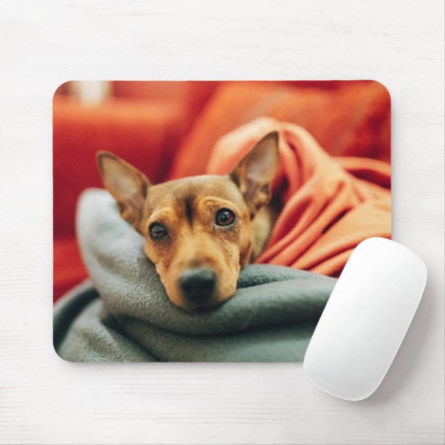 Cutest Baby Animals | Miniature Pinscher Mouse Mat (With Mouse)
