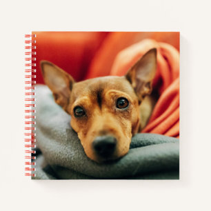 Cutest Baby Animals   Miniature Pinscher Notebook