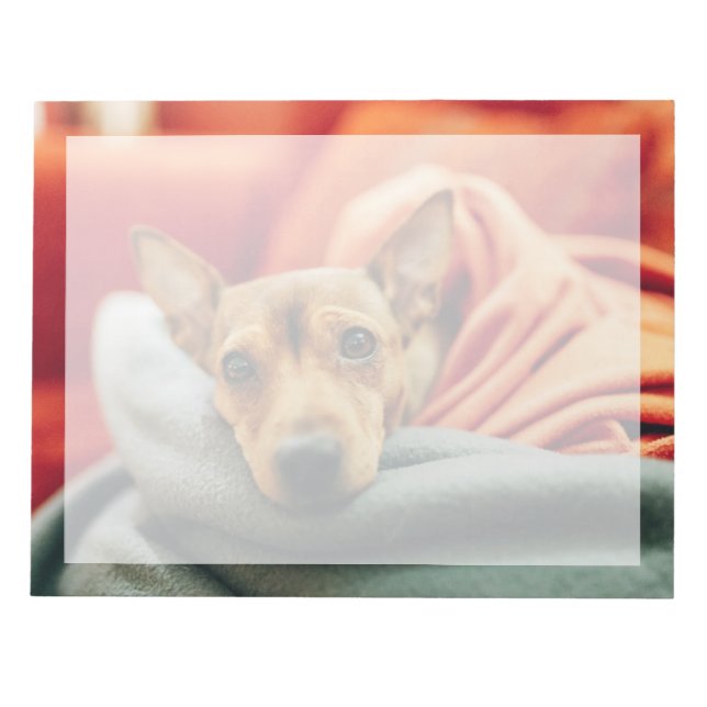 Cutest Baby Animals | Miniature Pinscher Notepad (Front)