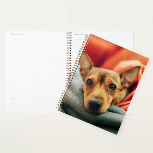Cutest Baby Animals | Miniature Pinscher Planner (Display)