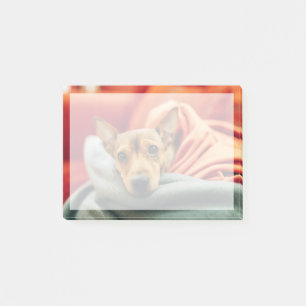 Cutest Baby Animals Miniature Pinscher Post-it Notes